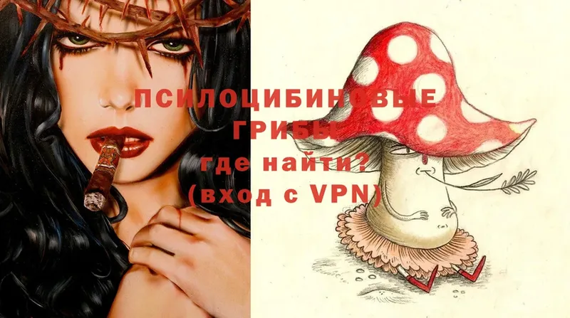 Псилоцибиновые грибы Magic Shrooms  Черкесск 